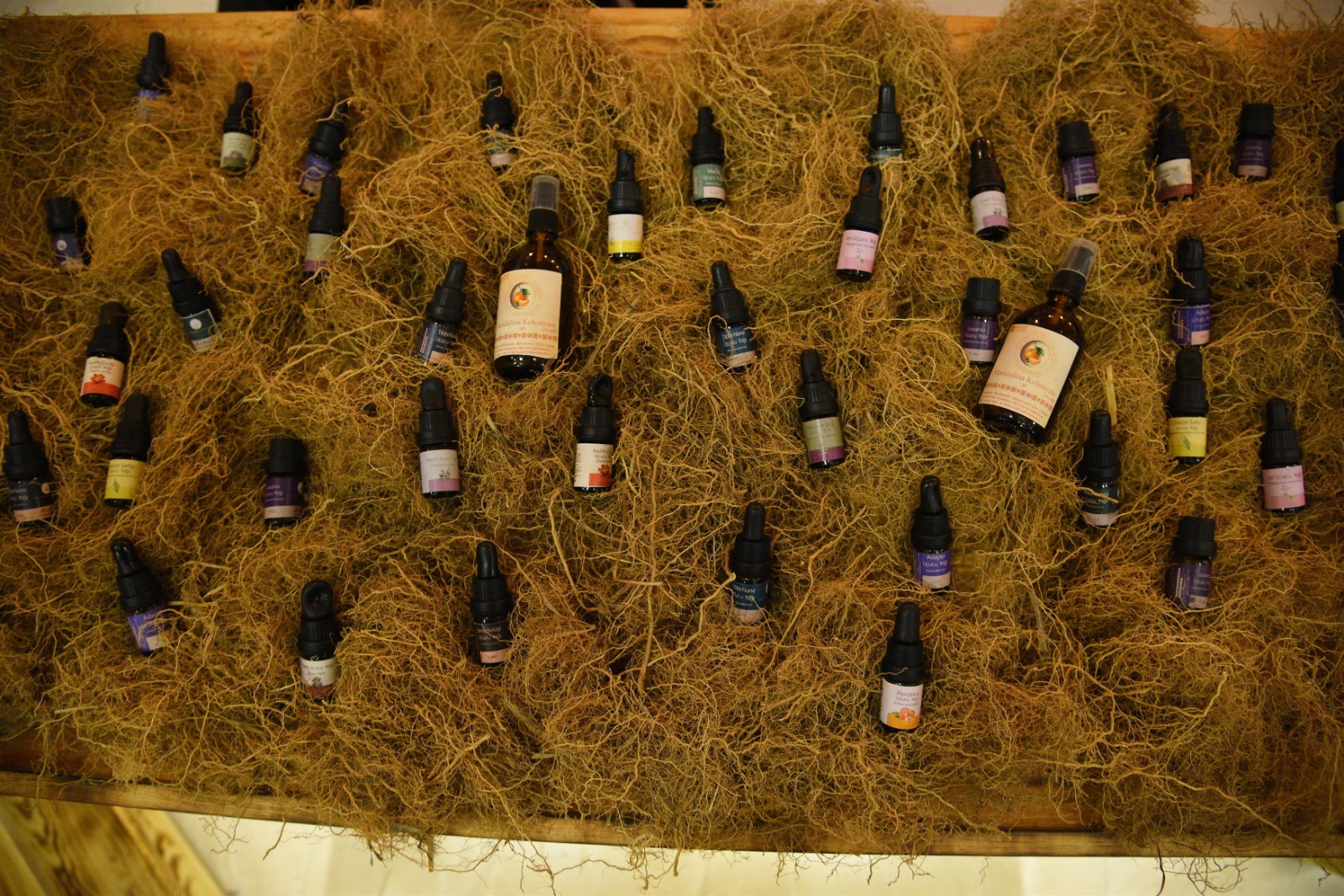 kasim-ayi-1-birlesim-kesinlesen-meclis-karar-ozeti-ilani-duyurusu